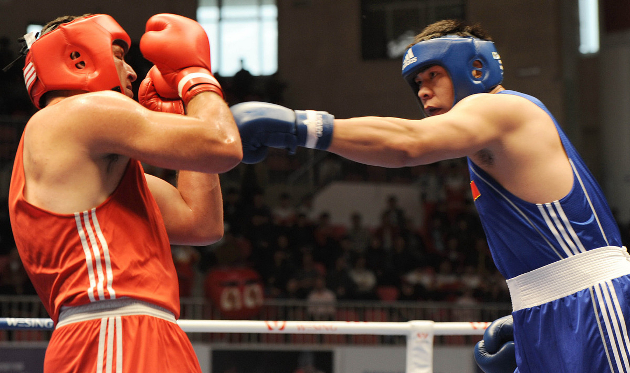 热血角逐！体育赛场上的激烈对抗的简单介绍