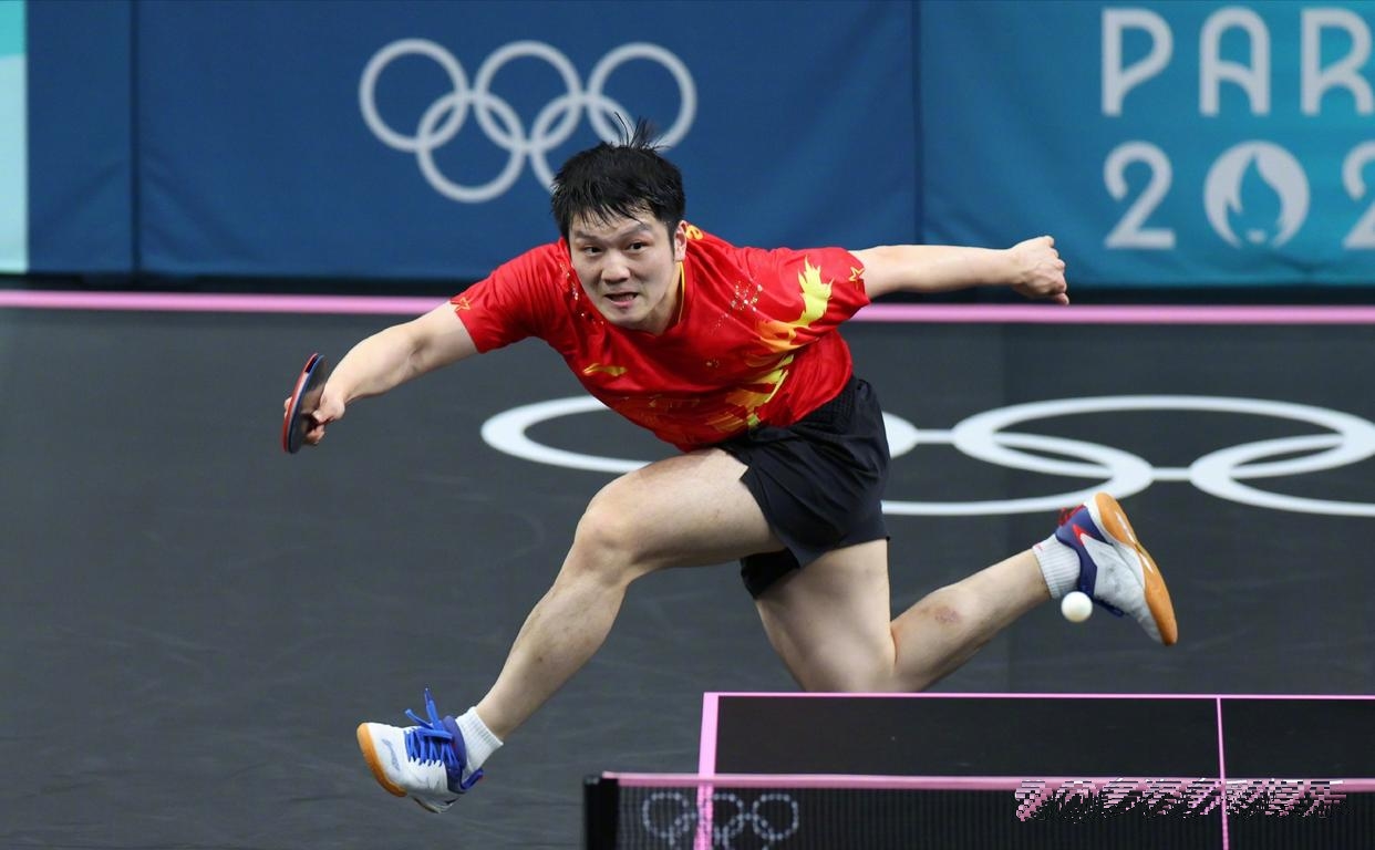 开云官网-包含中国乒乓球队绝地反击德国乒乓球队，樊振东送出助攻的词条